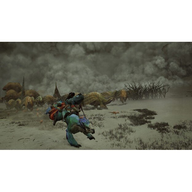 Monster Hunter Wilds

  - PlayStation 5