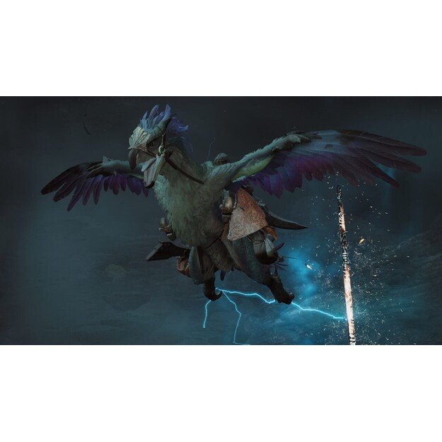 Monster Hunter Wilds

  - PlayStation 5