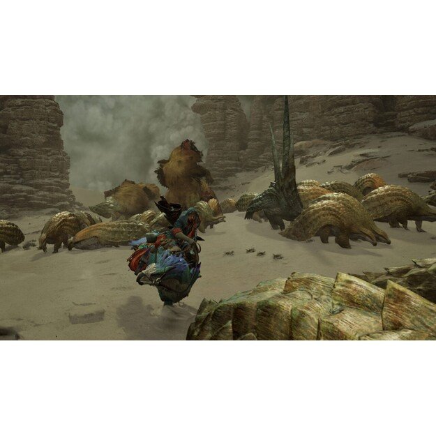 Monster Hunter Wilds

  - PlayStation 5