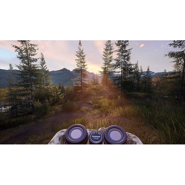 Hunting Simulator 2 (Import)

  - Nintendo Switch