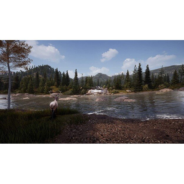 Hunting Simulator 2 (Import)

  - Nintendo Switch