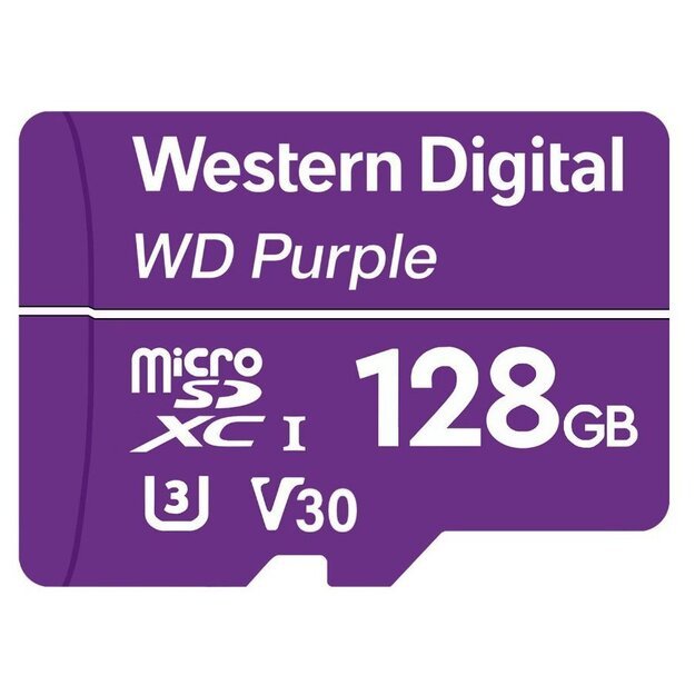 Memory Flash cards WESTERN DIGITAL WDD128G1P0C-85AEL0