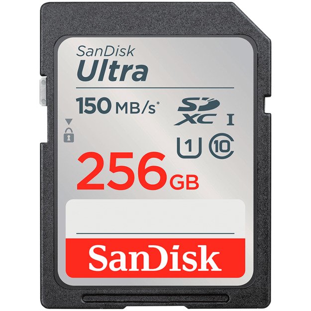 Memory Flash cards SANDISK SDSDUNC-256G-GN6IN 1