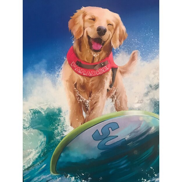 Diamond Painting Diamond Embroidery Mosaic 5D Set 1