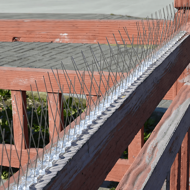 100 x METALOWE STALOWE NIERDZEWNE KOLCE NA PTAKI GOŁĘBIE WRÓBLE NA PARAPET GZYMS 50CM  31