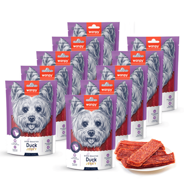 wanpy - Duck Jerky - 100g 1
