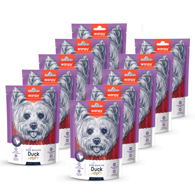 wanpy - Duck Jerky - 100g 2