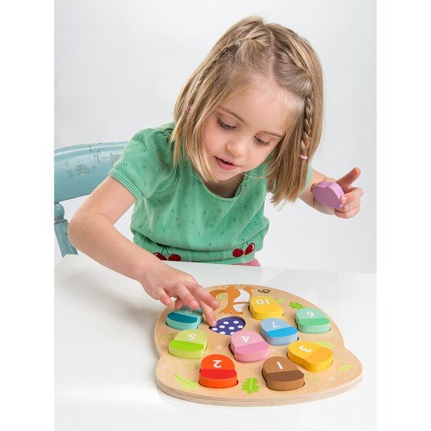 Tender Leaf - Learning Numbers - How Many Acorns - (TL8415) 1