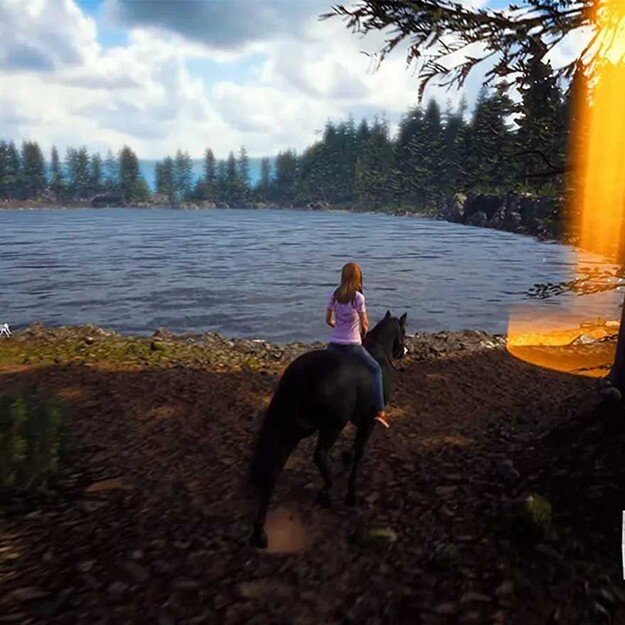 Windstorm: Start of a Great Friendship (Code in Box)
      
        - Nintendo Switch 4