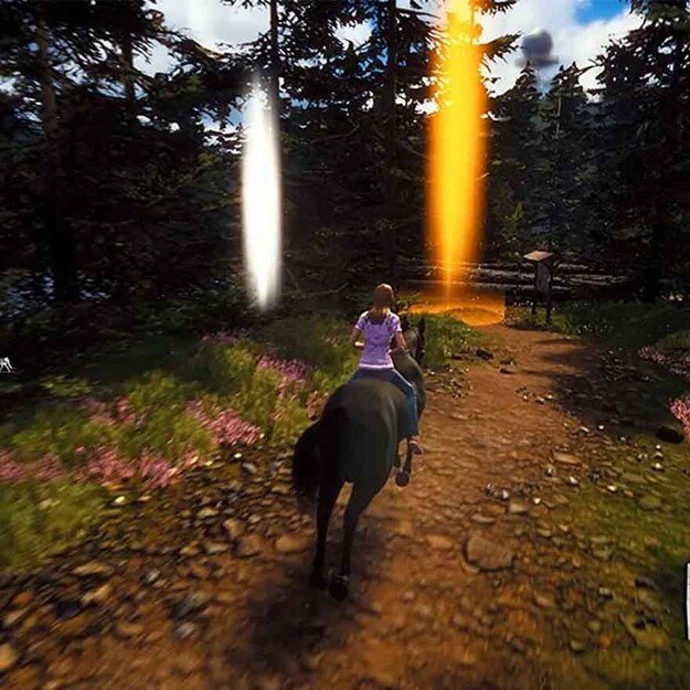 Windstorm: Start of a Great Friendship (Code in Box)
      
        - Nintendo Switch 2