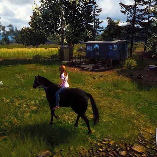 Windstorm: Start of a Great Friendship (Code in Box)
      
        - Nintendo Switch 1