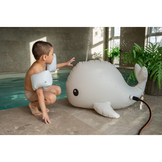 Filibabba - Sprinkler toy – Christian the whale 5