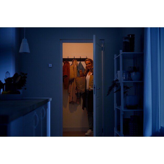 WiZ - Wireless Sensor EU 8