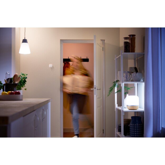 WiZ - Wireless Sensor EU 7