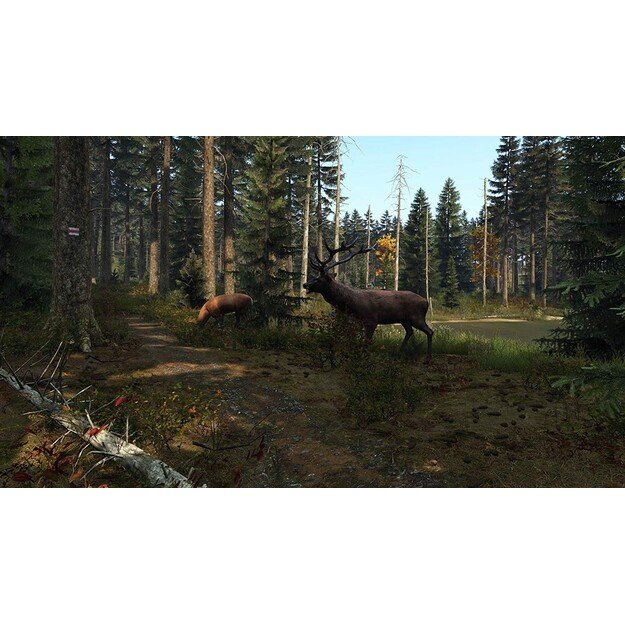 DayZ
      
        - PlayStation 4 9