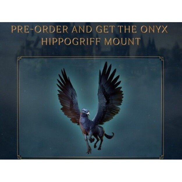 Hogwarts Legacy

  - Nintendo Switch 4