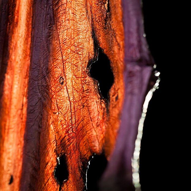 Blizzard World of Warcraft - Illidan Stormrage Statue Premium 2