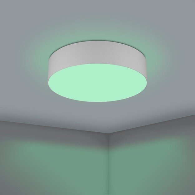 EGLO - Romao-Z loft lamp gray Ø57 - RGB + TW - Zigbee, Bluetooth 1