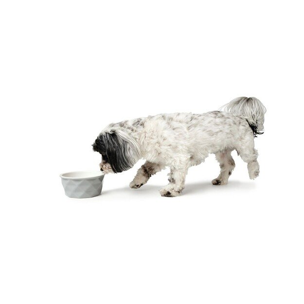 Hunter - Bowl ceramik Eiby 1100ml grey - (68658) 1