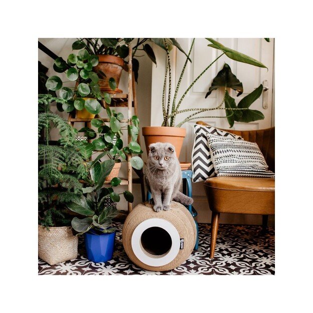 District70 - Carboard ORB Hiding spot - (871720261366) 4