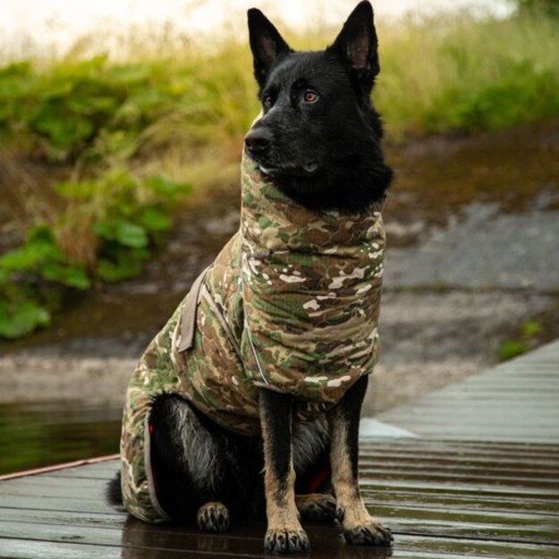 Siccaro - Spirit 2.0 60 - Dog Coat f/drying (S1103) 1