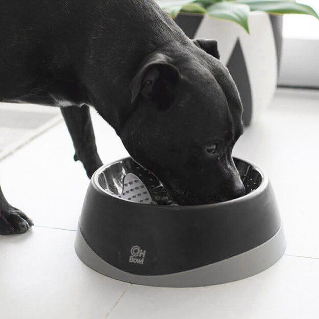 LICKI MAT - Dog Bowl Oral Hygiene Bowl M Black Ø22X7,2Cm - (645.5210) 1