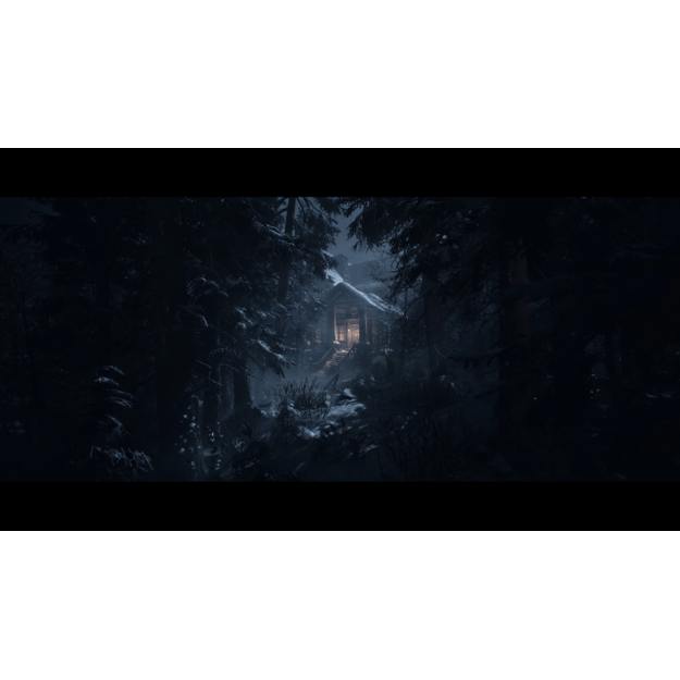 Until Dawn ( Nordic )
      
        - PlayStation 5 6