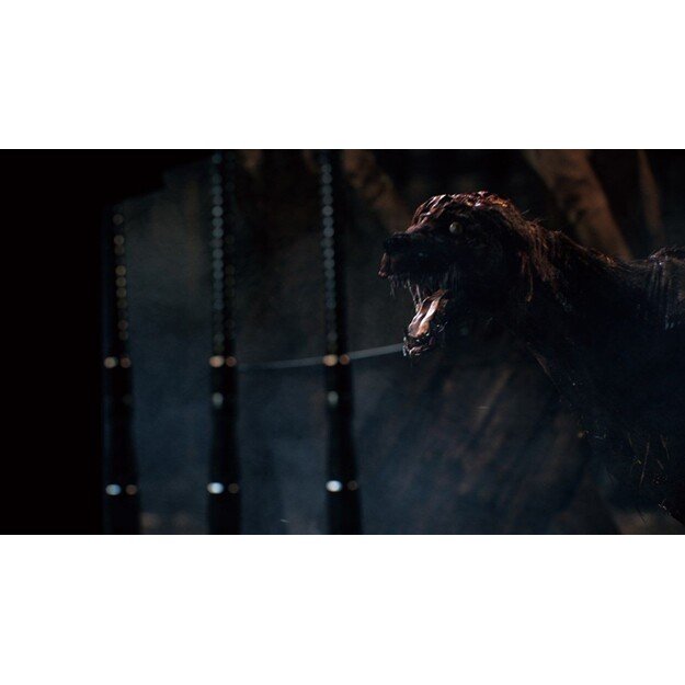 Bloodborne - Game of the Year Edition

  - PlayStation 4 3