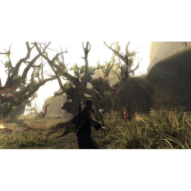 Risen
      
        - PlayStation 4 1