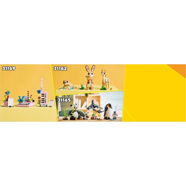 LEGO - LEGO Creator - Playful Cat (31163) 2