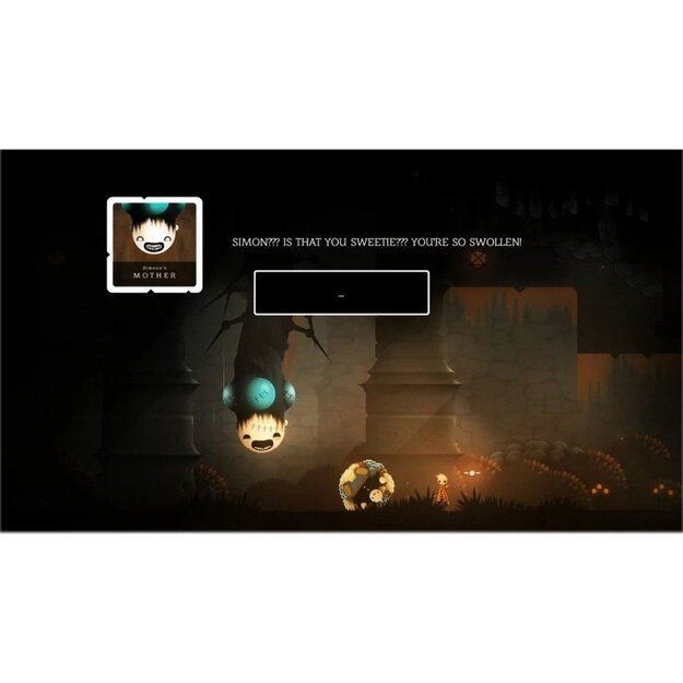 Neversong
      
        - PlayStation 4 1