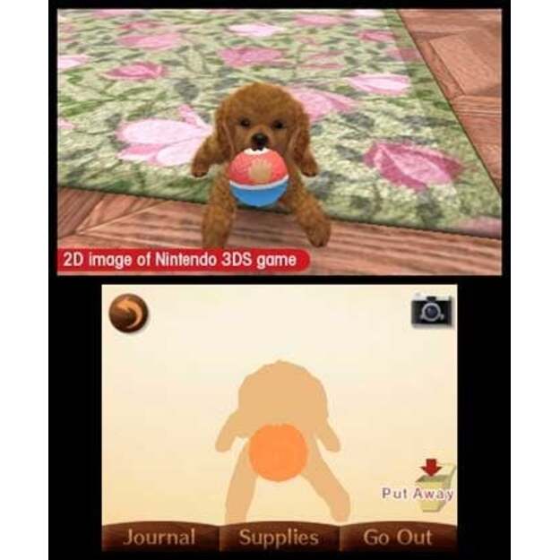 Nintendogs and Cats 3D: Toy Poodle (Select)
      
        - Nintendo 3DS 2