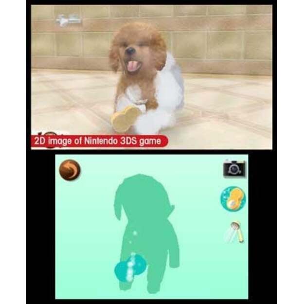 Nintendogs and Cats 3D: Toy Poodle (Select)
      
        - Nintendo 3DS 4