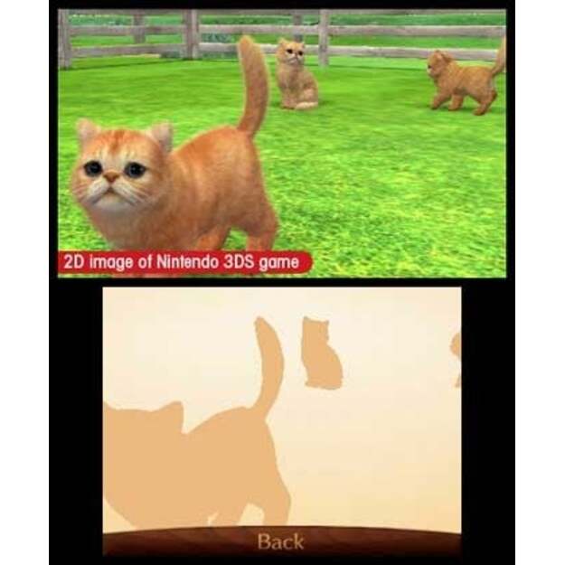 Nintendogs and Cats 3D: Toy Poodle (Select)
      
        - Nintendo 3DS 5