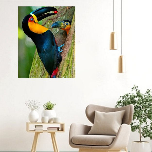 MALOWANIE PO NUMERACH OBRAZ Z RAMĄ  DIY ZESTAW PĘDZLE FARBY PŁÓTNO 40x50 6