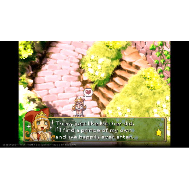 Rhapsody: Marl Kingdom Chronicles (Deluxe Edition)
      
        - PlayStation 5 18