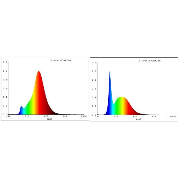 EGLO - E27 G80 spiral, amber - TW - Zigbee, Bluetooth 4