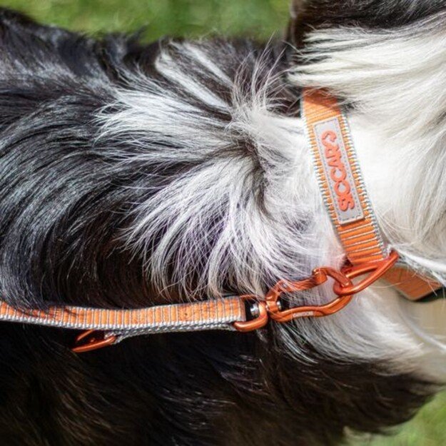 Siccaro - Sealines Dog Collar Mixed L - (S6011) 2