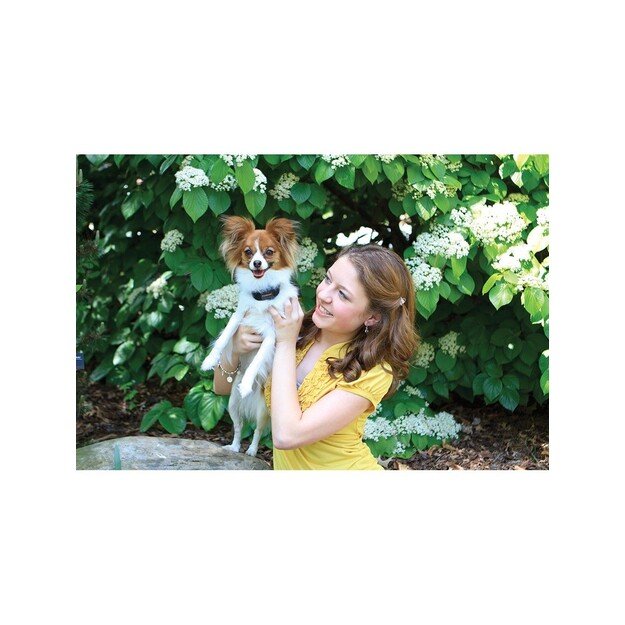 PETSAFE - Bark Collar Vibrating - (631.0002) 3