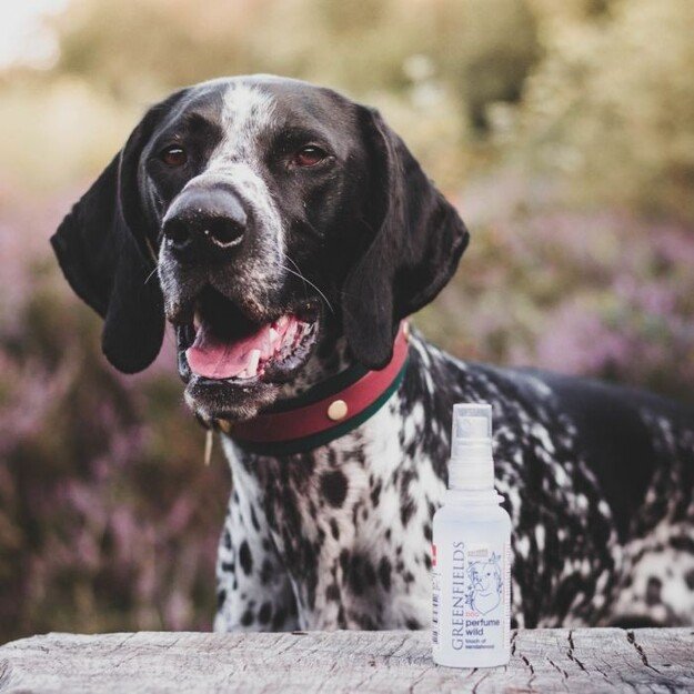 Greenfields - Parfume Wild 75ml - (WA5188) 1