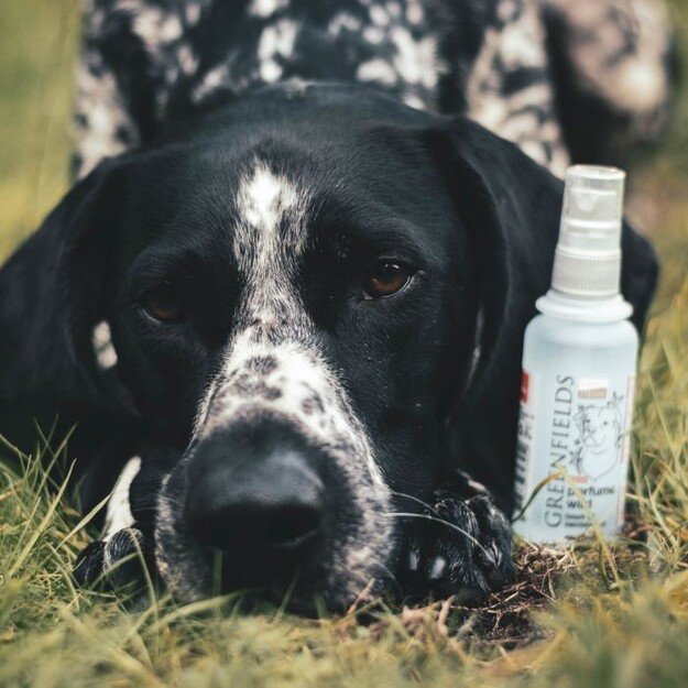 Greenfields - Parfume Wild 75ml - (WA5188) 2