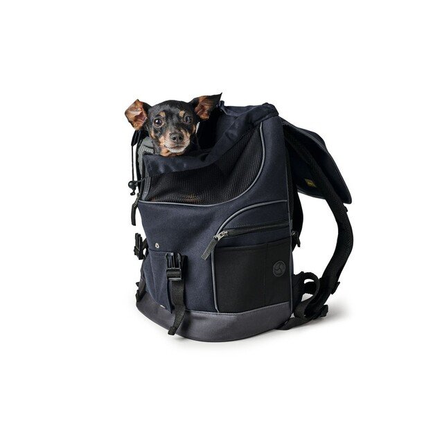 Hunter - Backpack Madison - (67681) 1