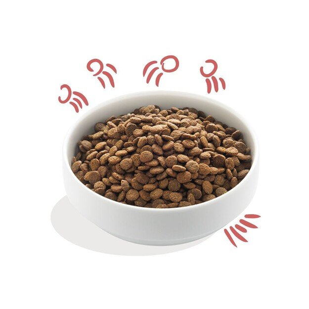 Edgard Cooper - Fresh Free-Run Chicken & Norwegian Salmon 12kg - (542503948519) 1