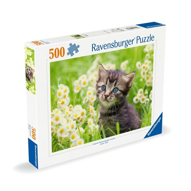 Ravensburger - Puzzle Kitten In The Meadow 500p (12000367) 1