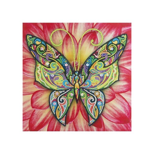 Grafix - Diamond Painting on Canvas Butterfly 30 x 30 cm - (K-260009) 3