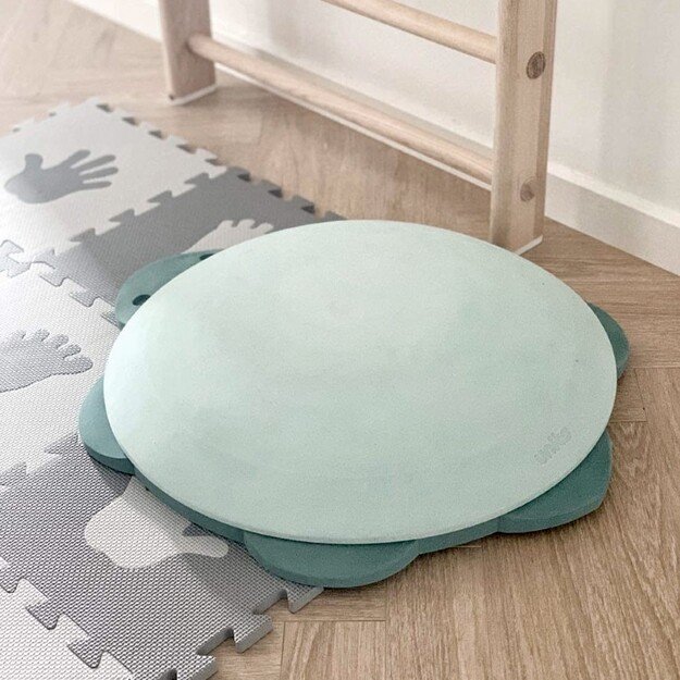 UNITS - Tortoise (160) 1
