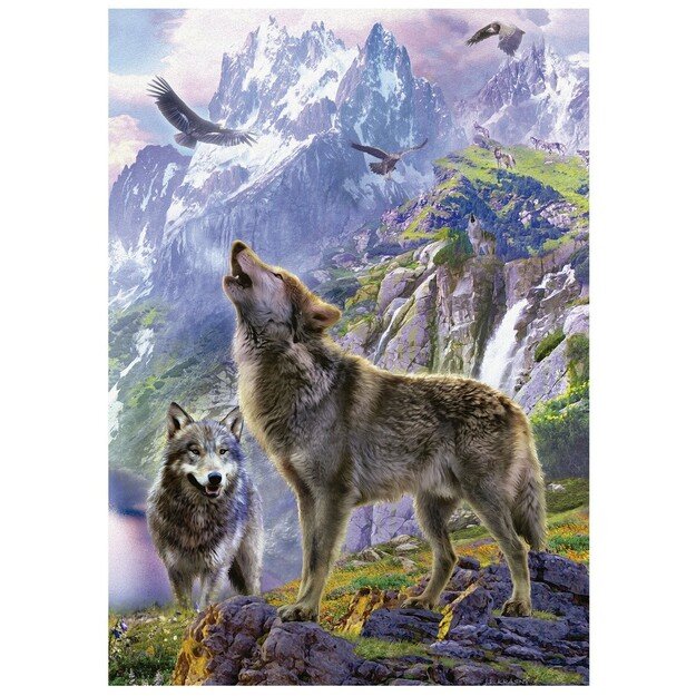 Educa - 500 pcs - Wolves In The Rocks puzzle (80-19548) 1