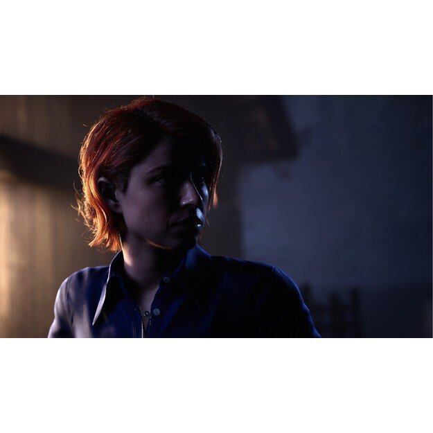 The Dark Pictures Anthology: The Devil In Me
      
        - PlayStation 4 5