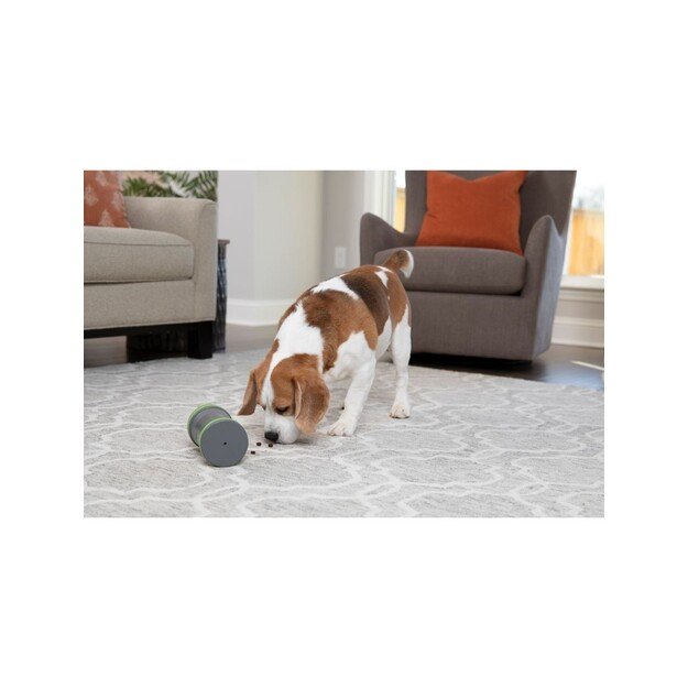Petsafe - Kibble Chase Treat dispenser - (72984916964) 1