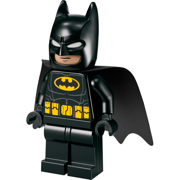 LEGO - Super Heroes - Batman™ & Batmobile™ vs. Mr. Freeze™ (76301) 3